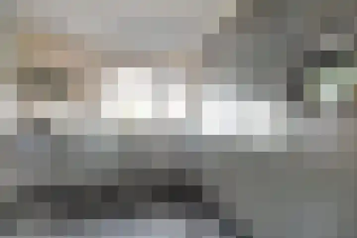 Jan de Wittstraat 4 Vriezenveen thumbnail 23