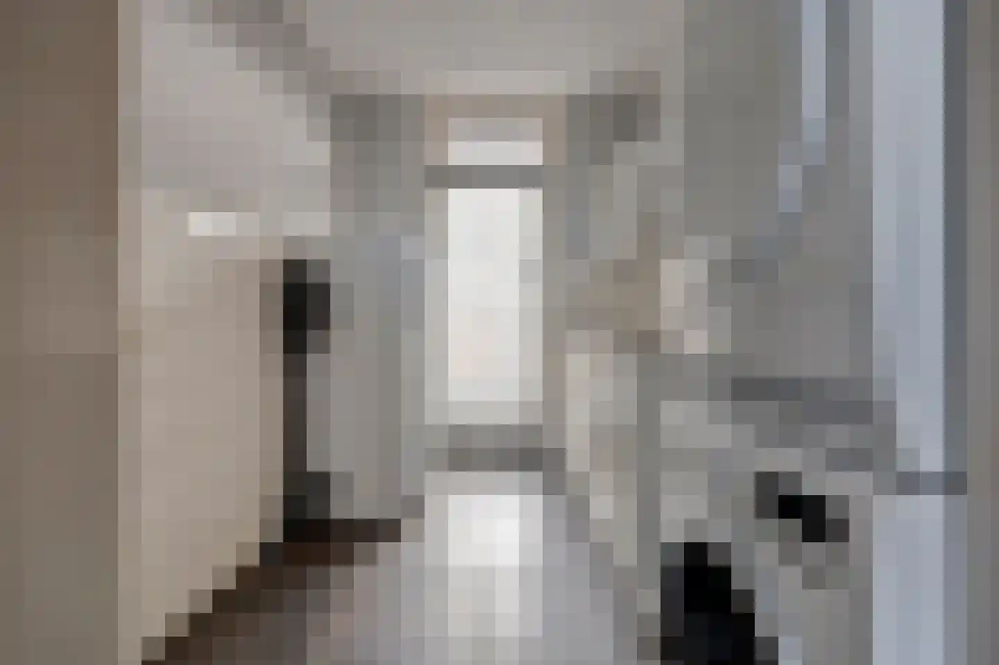Jan de Wittstraat 4 Vriezenveen thumbnail 32
