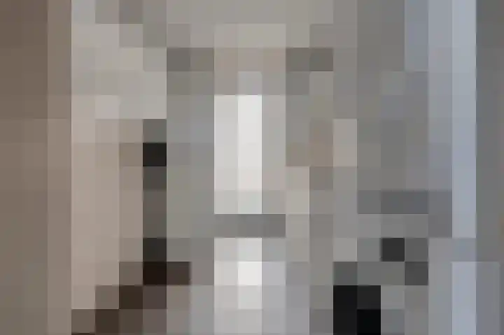 Jan de Wittstraat 4 Vriezenveen thumbnail 32