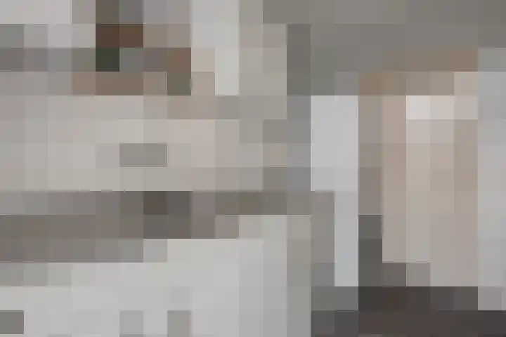Jan de Wittstraat 4 Vriezenveen thumbnail 33