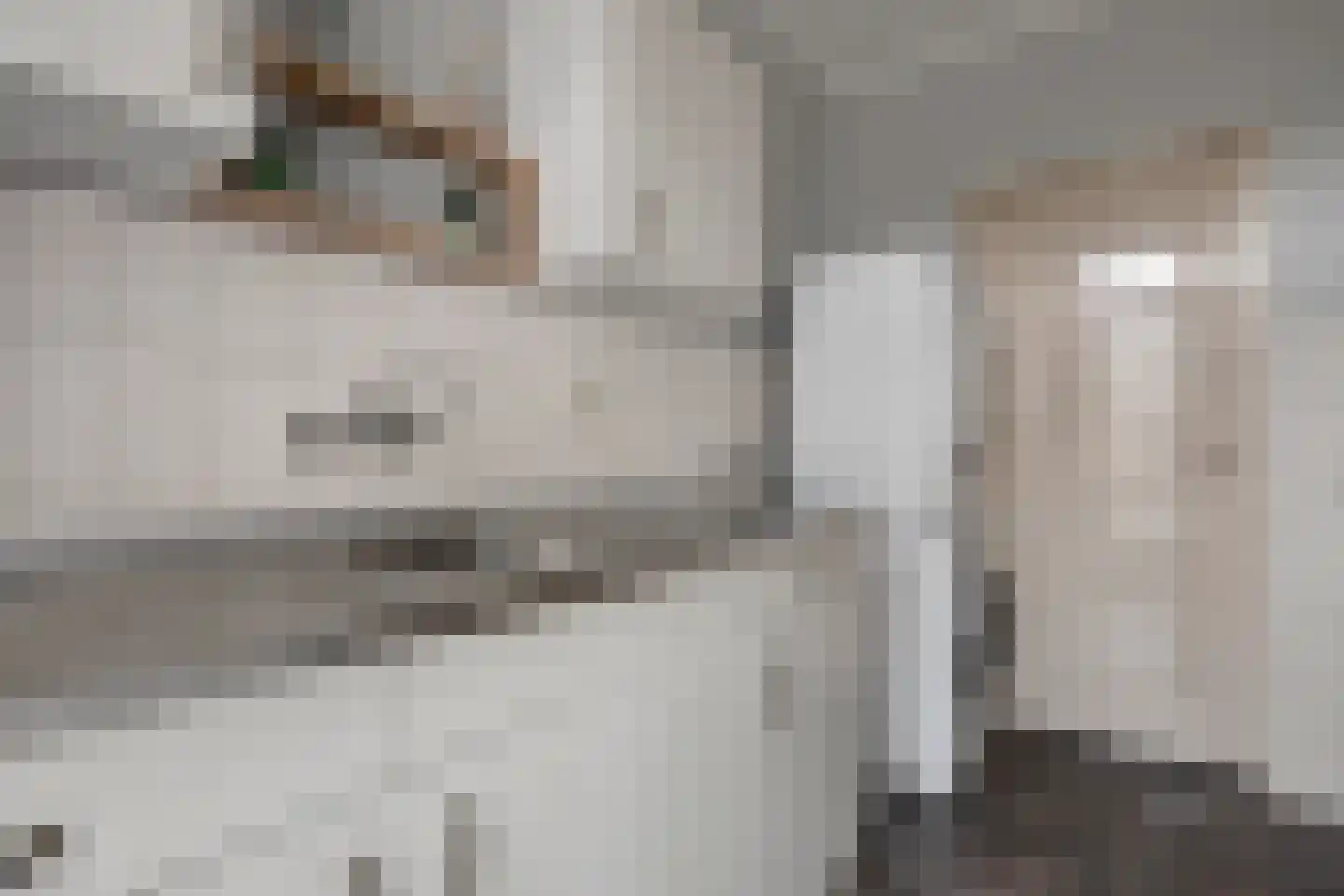 Jan de Wittstraat 4 Vriezenveen thumbnail 33