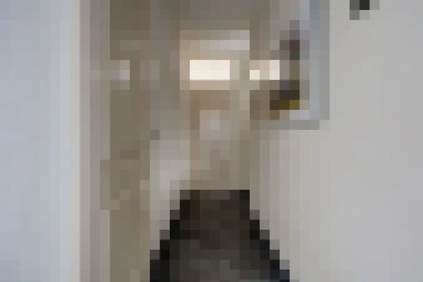 Jan de Wittstraat 4 Vriezenveen thumbnail 34