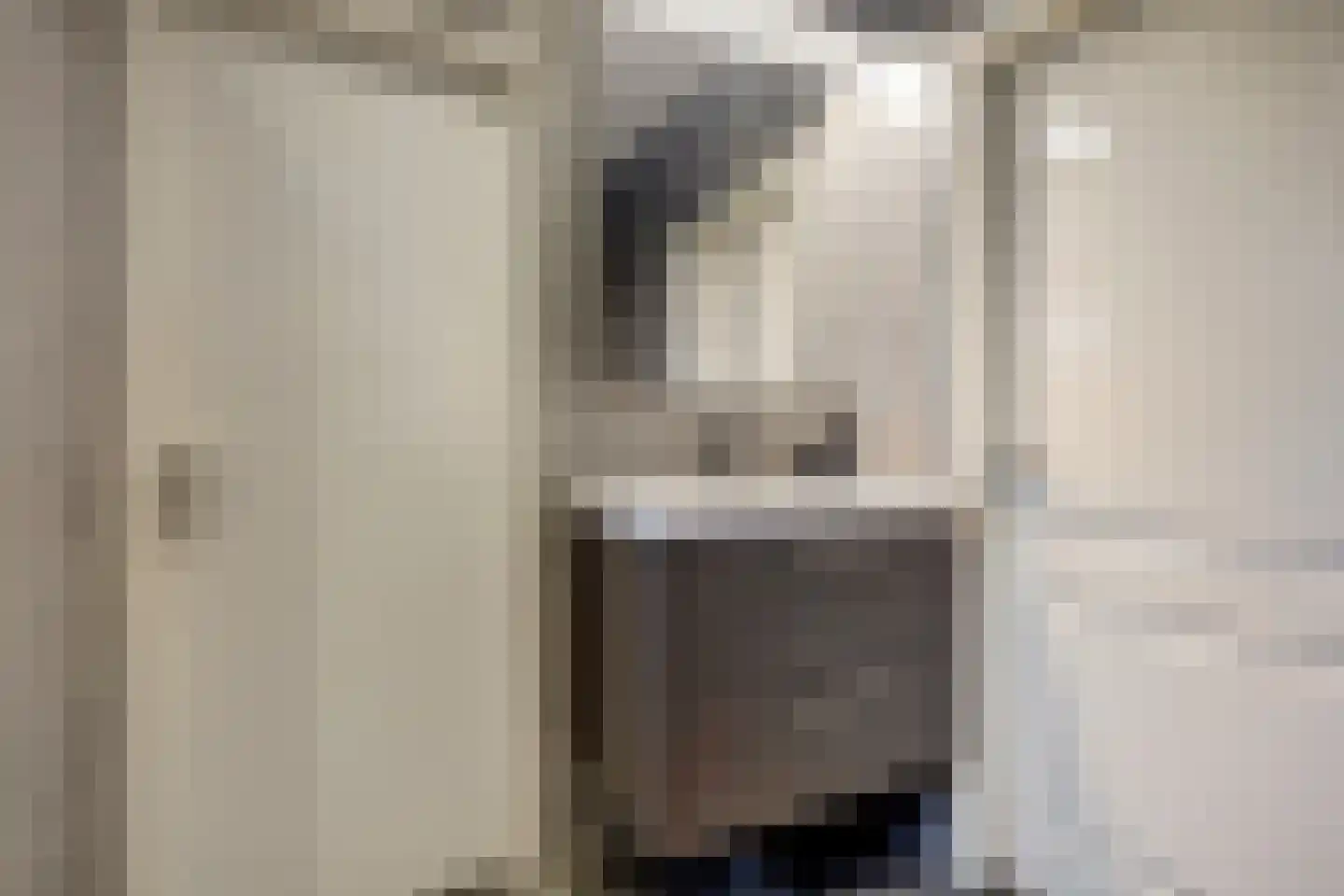 Jan de Wittstraat 4 Vriezenveen thumbnail 37