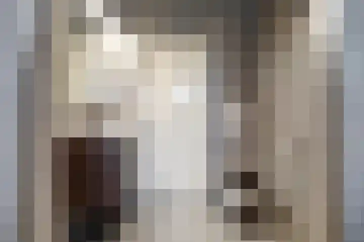 Jan de Wittstraat 4 Vriezenveen thumbnail 38