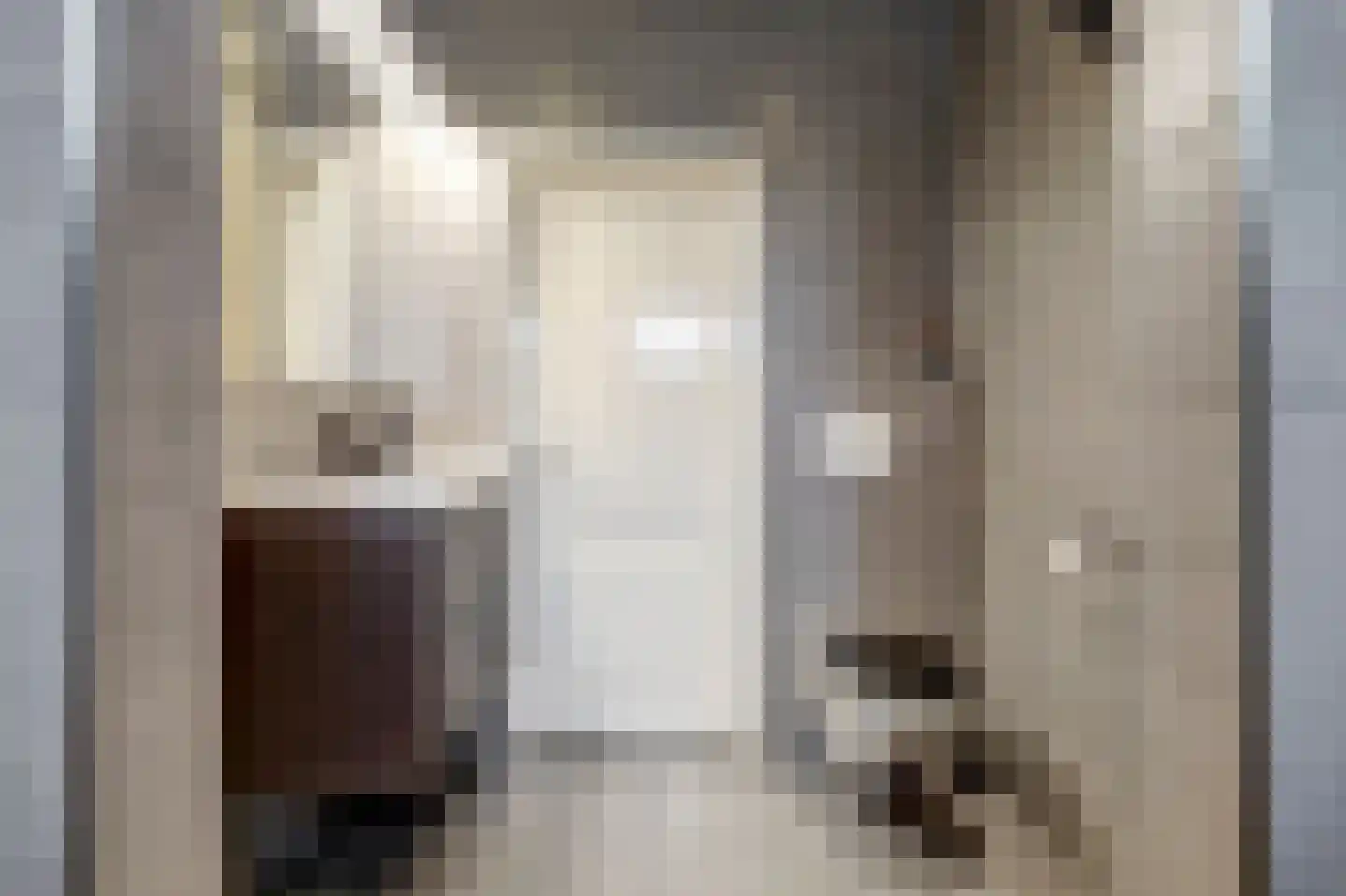 Jan de Wittstraat 4 Vriezenveen thumbnail 38