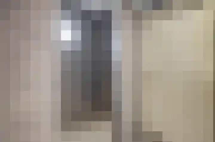 Jan de Wittstraat 4 Vriezenveen thumbnail 39