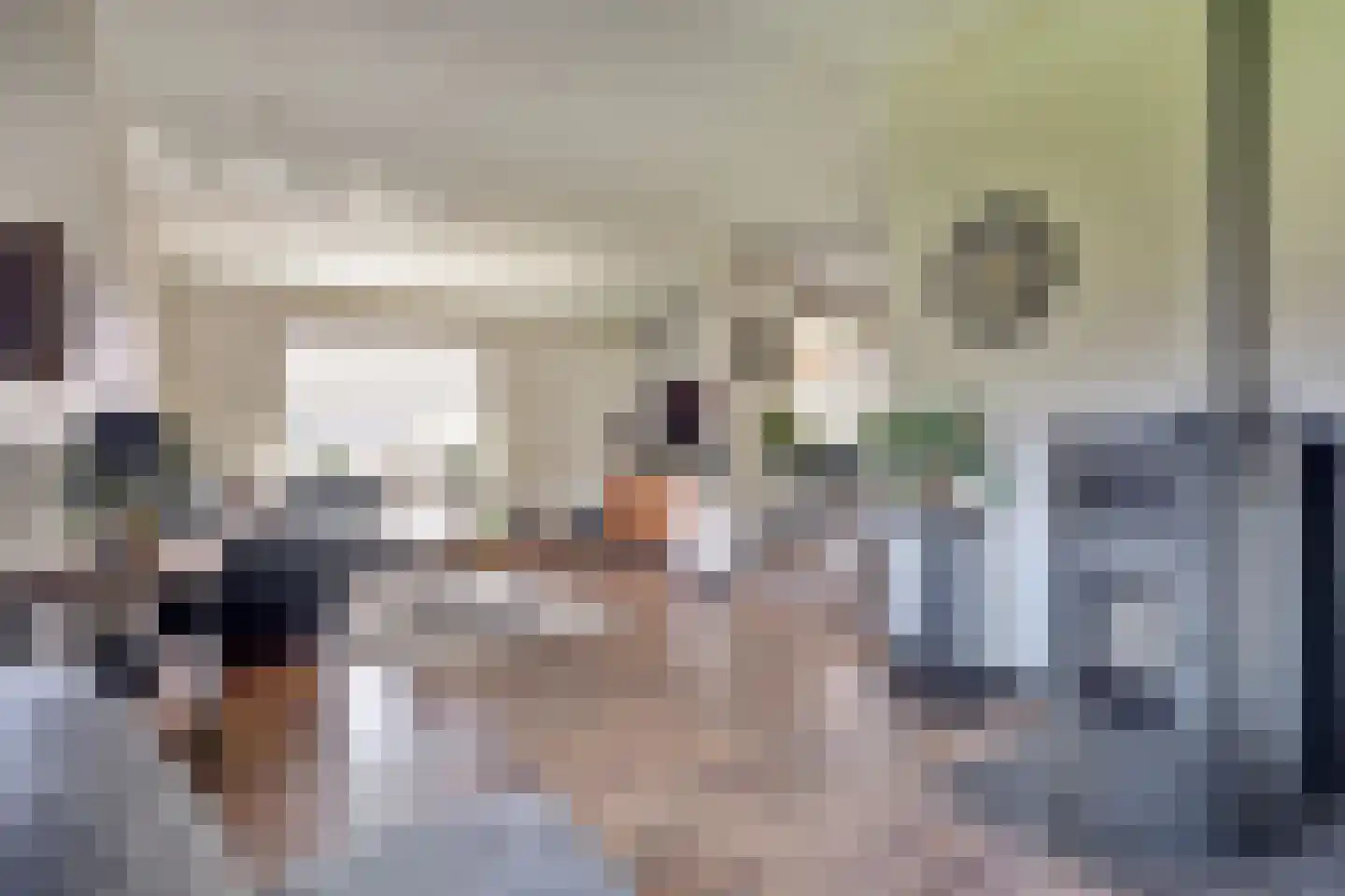 Jan de Wittstraat 4 Vriezenveen thumbnail 4