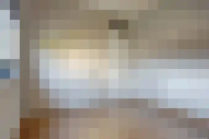 Jan de Wittstraat 4 Vriezenveen thumbnail 42