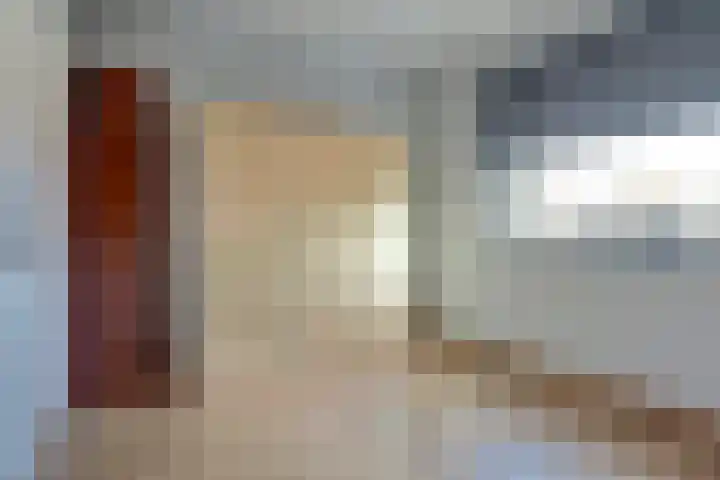 Jan de Wittstraat 4 Vriezenveen thumbnail 43
