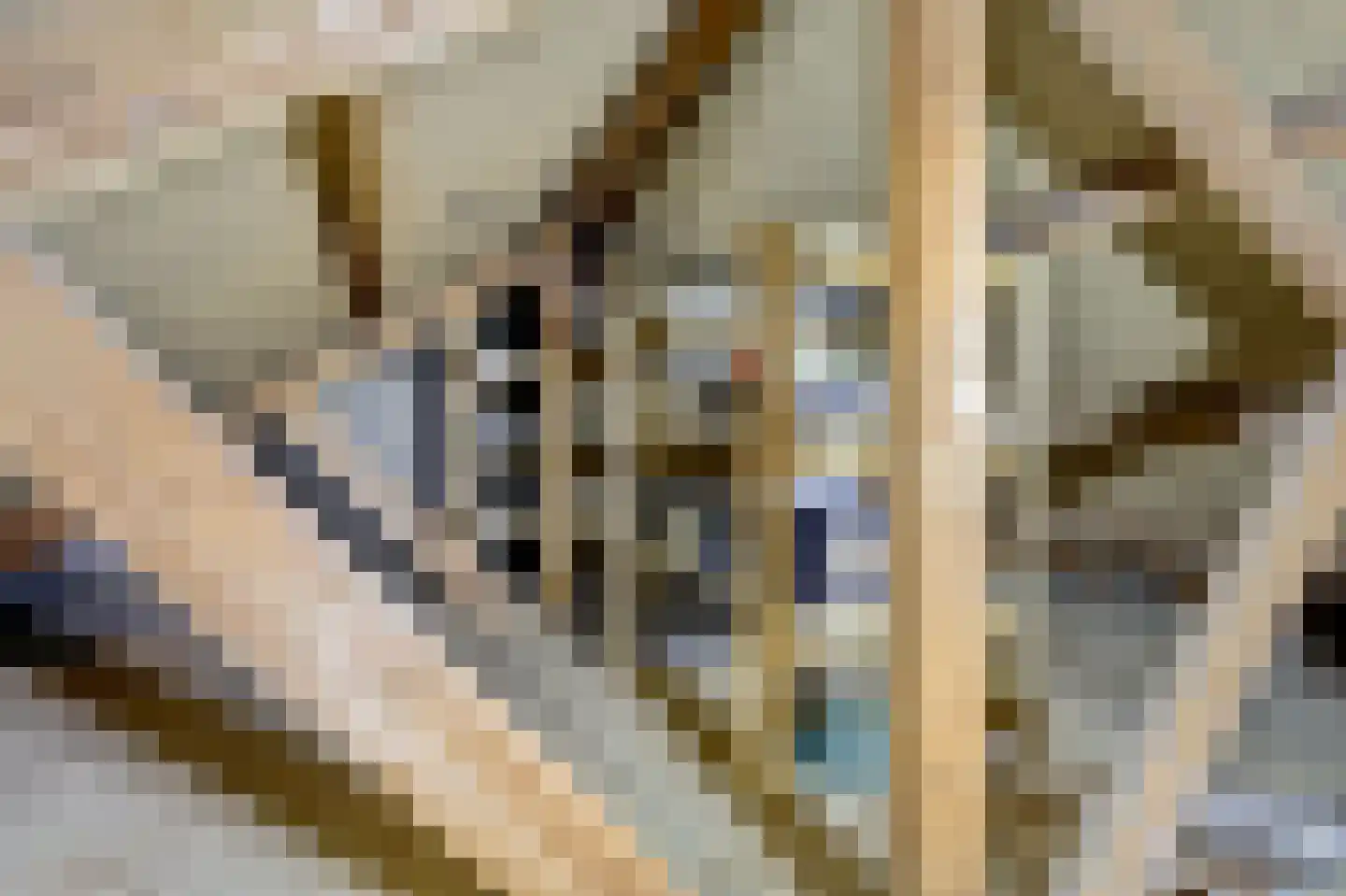 Jan de Wittstraat 4 Vriezenveen thumbnail 46
