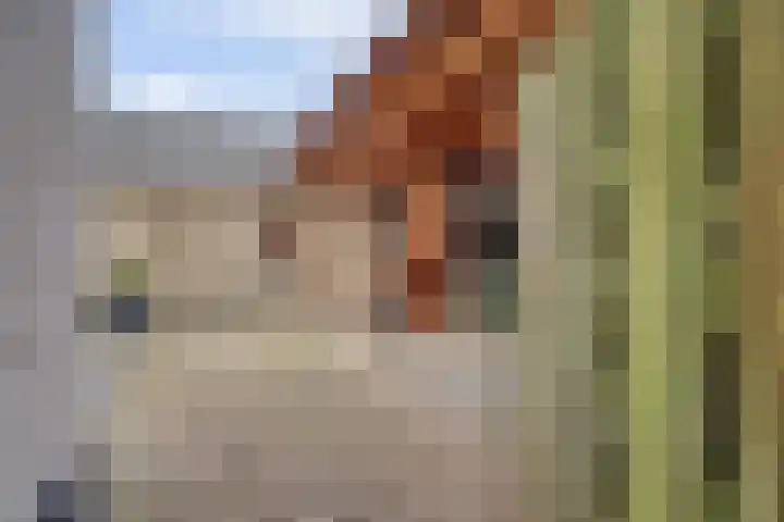Jan de Wittstraat 4 Vriezenveen thumbnail 49