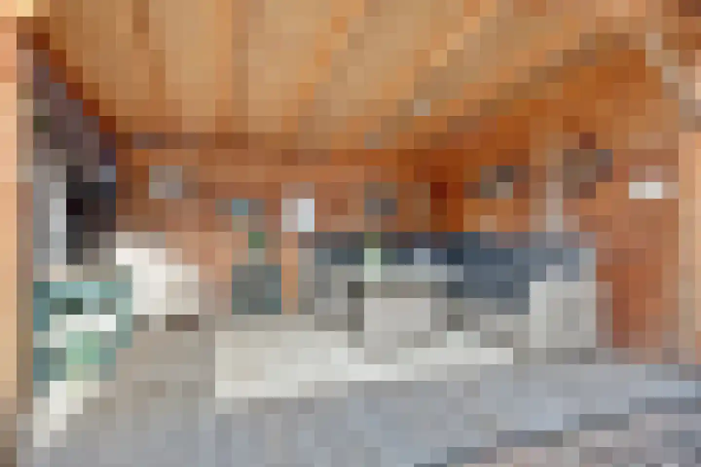 Jan de Wittstraat 4 Vriezenveen thumbnail 50