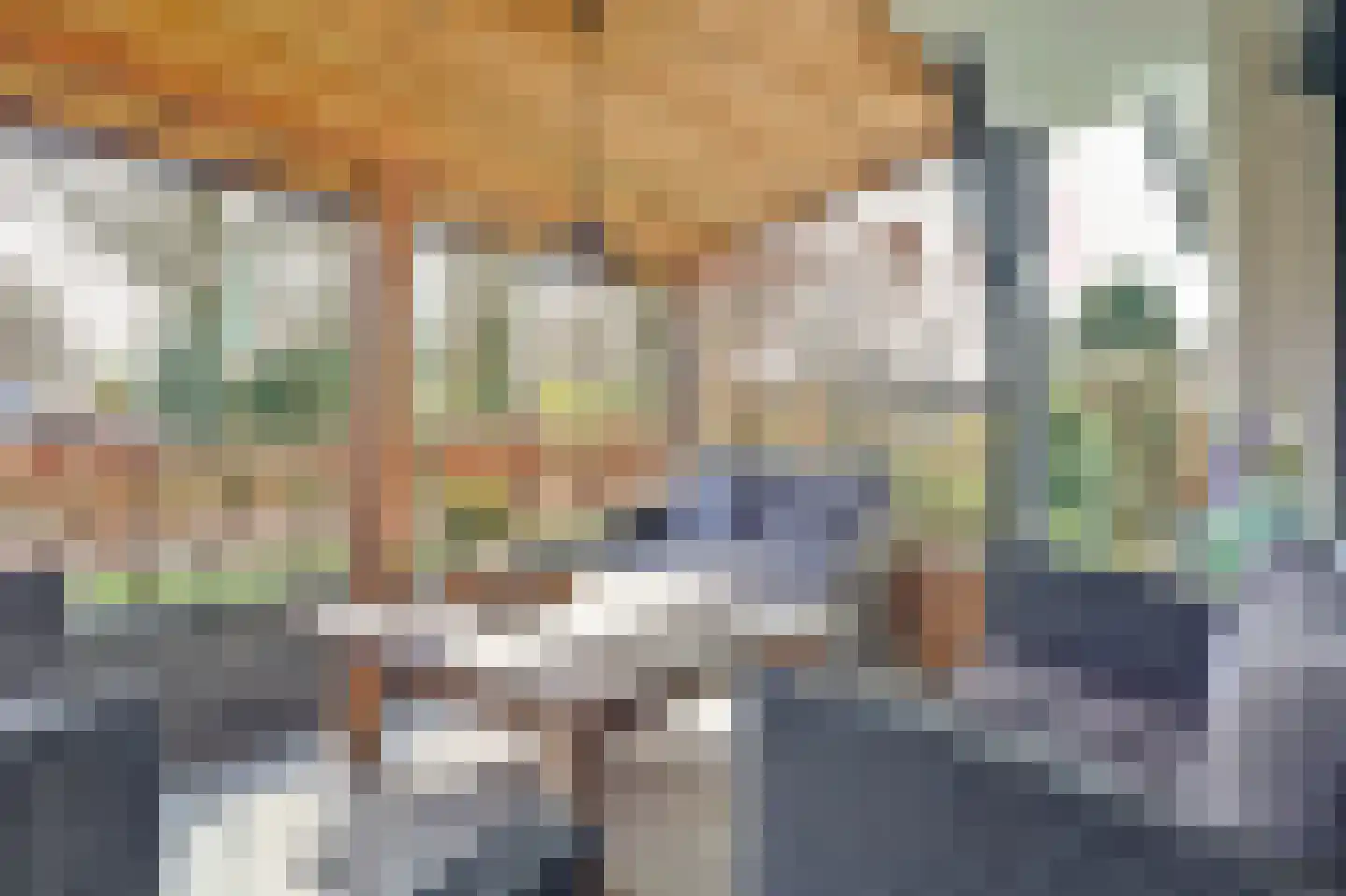 Jan de Wittstraat 4 Vriezenveen thumbnail 55