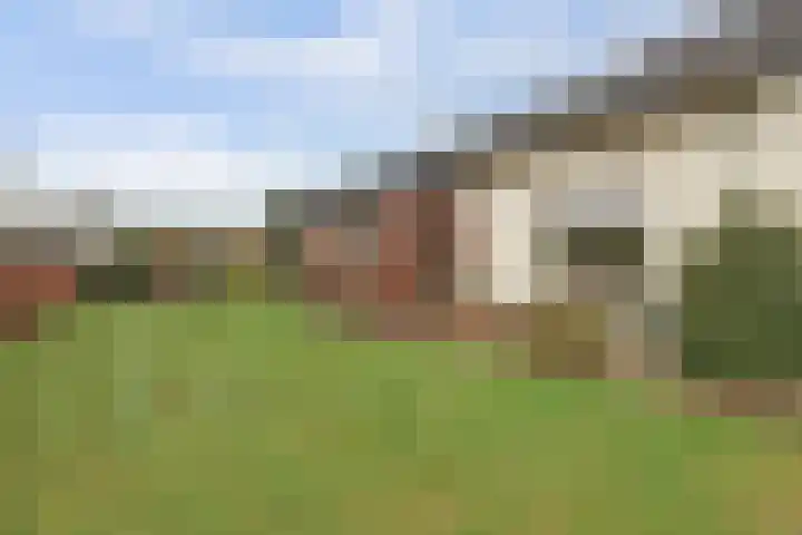 Jan de Wittstraat 4 Vriezenveen thumbnail 57