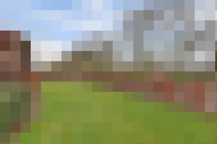 Jan de Wittstraat 4 Vriezenveen thumbnail 58