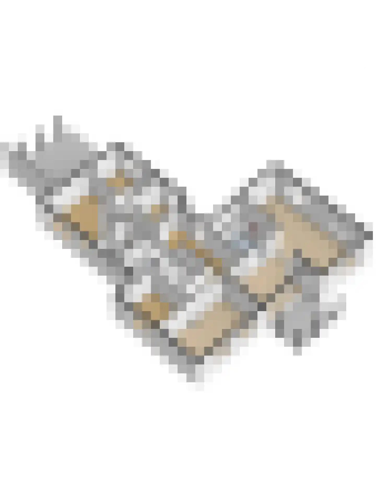 Jan de Wittstraat 4 Vriezenveen thumbnail 66