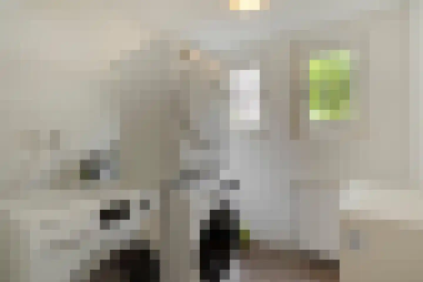 Jan de Wittstraat 6 Nijmegen thumbnail 16