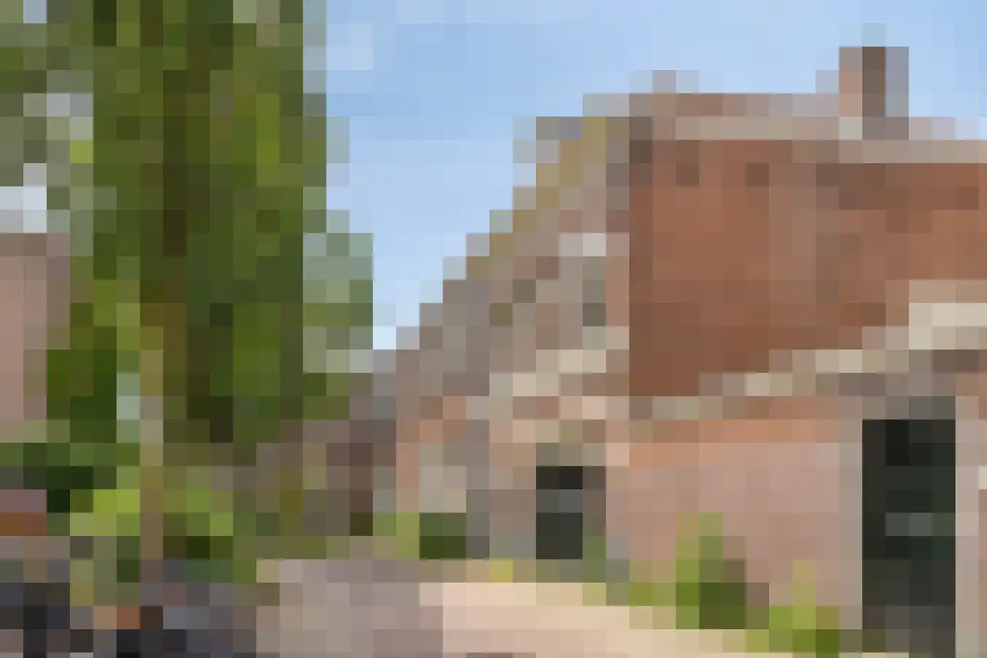 Jan de Wittstraat 6 Nijmegen thumbnail 22