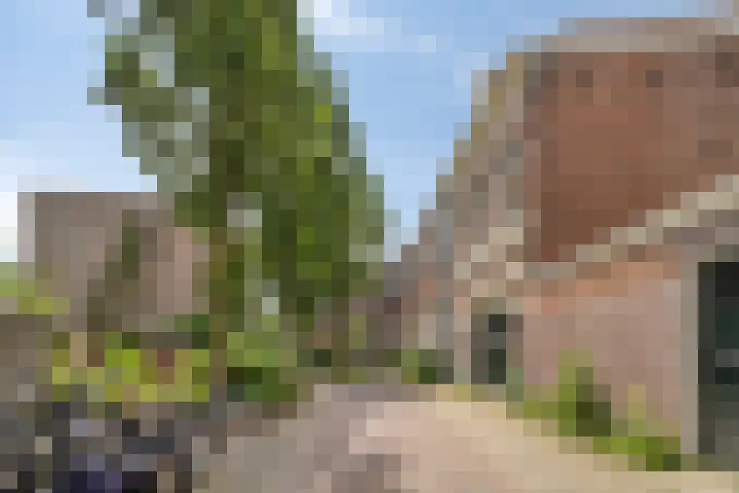 Jan de Wittstraat 6 Nijmegen thumbnail 5