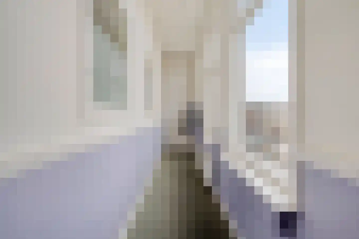 Jan de Wittstraat 6 Nijmegen thumbnail 7