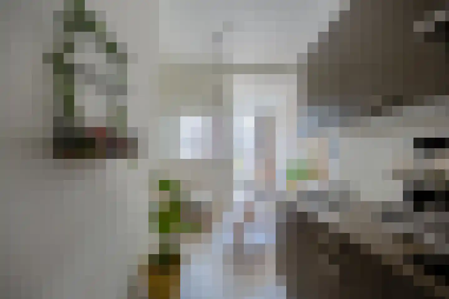 Jan de Wittstraat 9 Nijmegen thumbnail 15