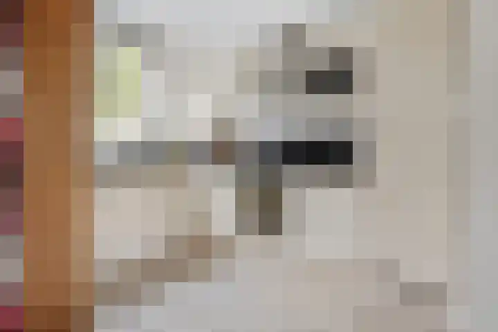 Jan den Haenplantsoen 4 Voorschoten thumbnail 11