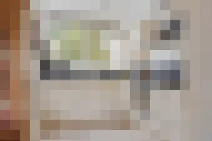 Jan den Haenplantsoen 4 Voorschoten thumbnail 12