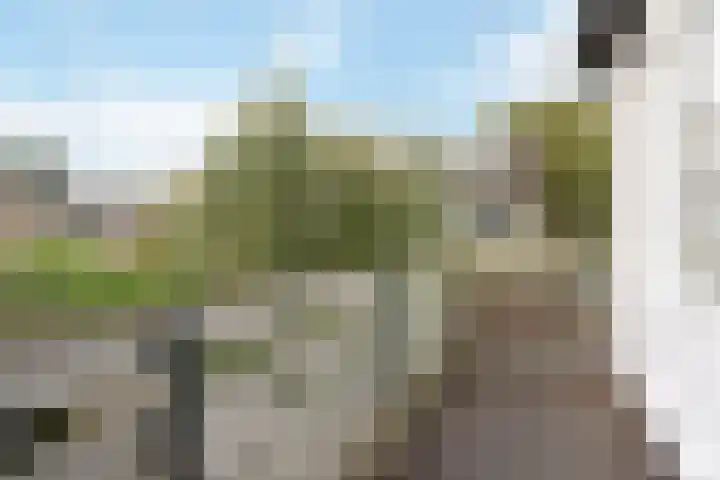 Jan den Haenplantsoen 4 Voorschoten thumbnail 15