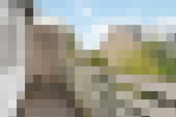 Jan den Haenplantsoen 4 Voorschoten thumbnail 16