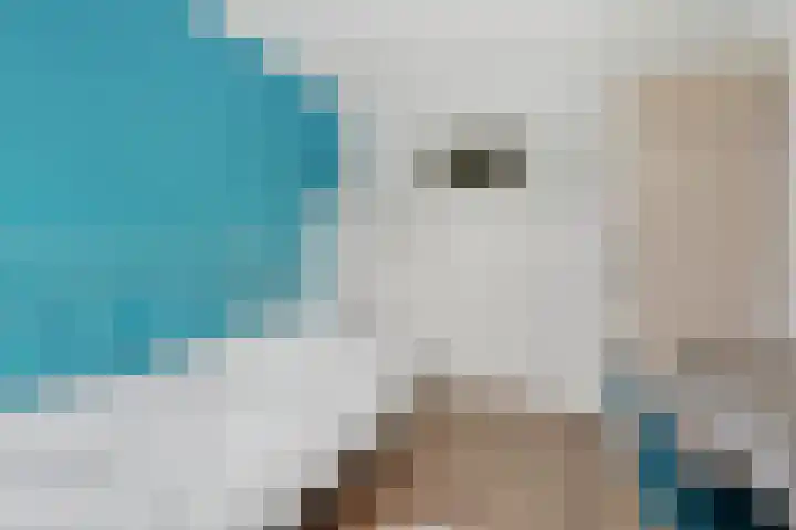Jan den Haenplantsoen 4 Voorschoten thumbnail 17