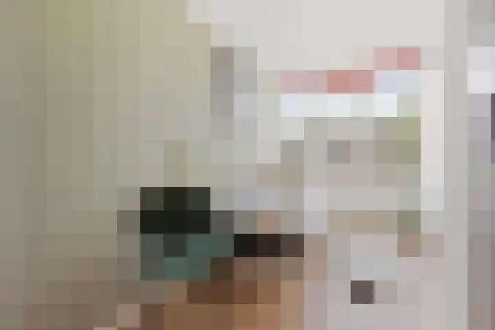 Jan den Haenplantsoen 4 Voorschoten thumbnail 18