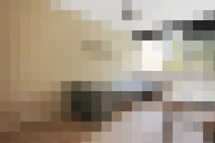 Jan den Haenplantsoen 4 Voorschoten thumbnail 19