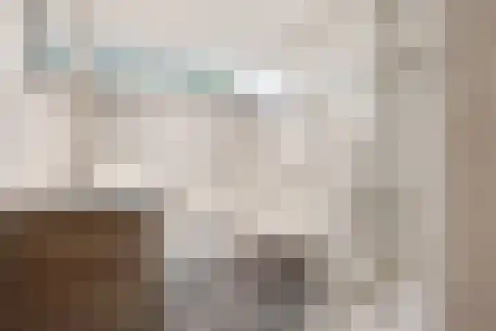 Jan den Haenplantsoen 4 Voorschoten thumbnail 21