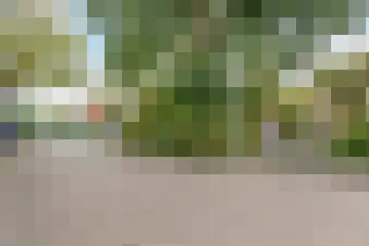 Jan den Haenplantsoen 4 Voorschoten thumbnail 37