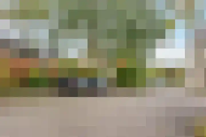 Jan den Haenplantsoen 4 Voorschoten thumbnail 38