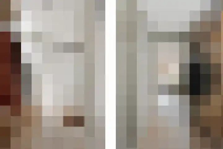 Jan den Haenplantsoen 4 Voorschoten thumbnail 4