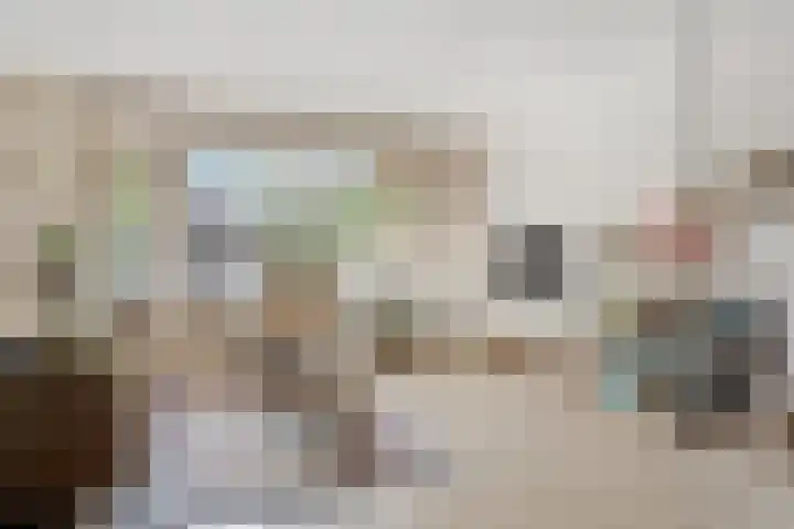 Jan den Haenplantsoen 4 Voorschoten thumbnail 6