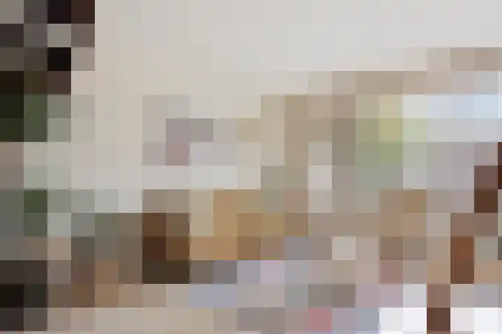 Jan den Haenplantsoen 4 Voorschoten thumbnail 7