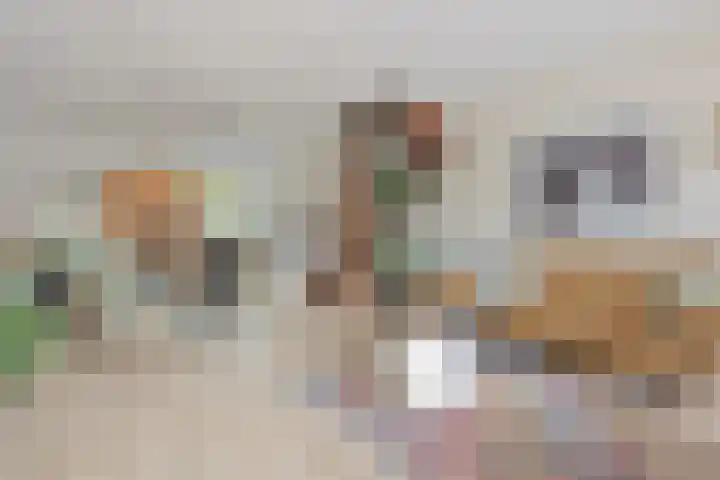 Jan den Haenplantsoen 4 Voorschoten thumbnail 8