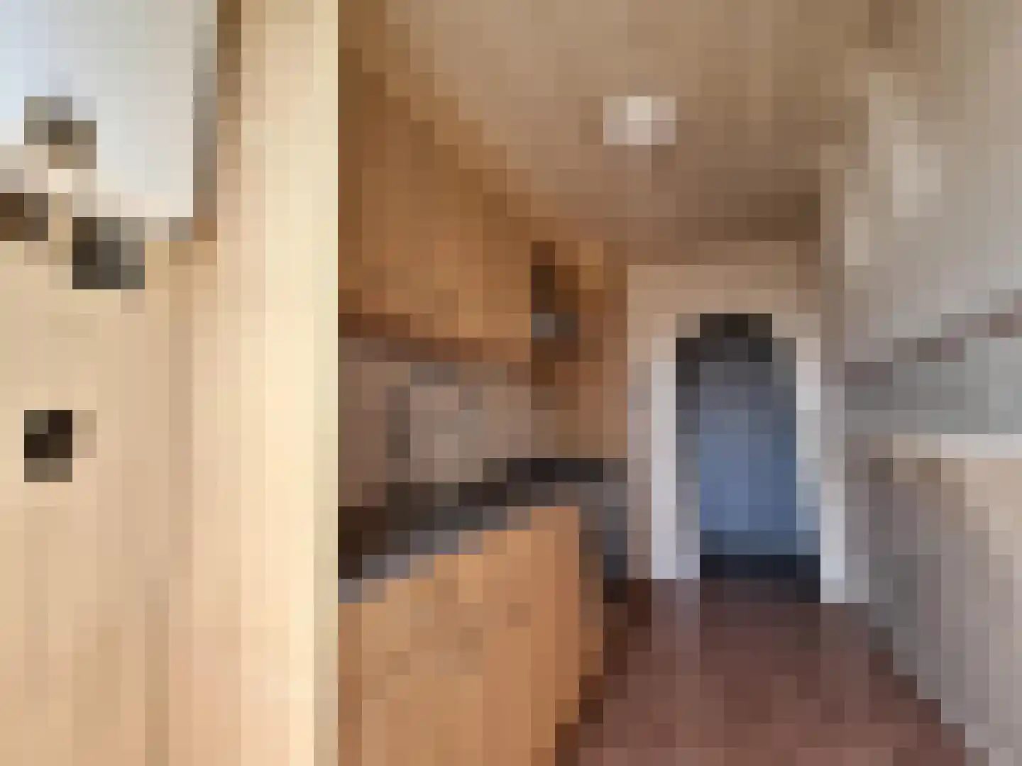 Jan den Haenstraat 10 Dordrecht thumbnail 6