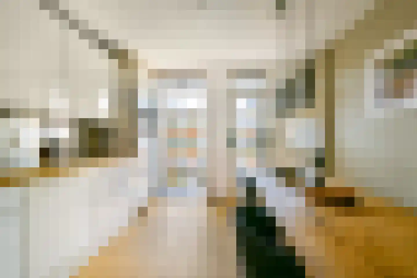 Jan den Haenstraat 11 2 Amsterdam thumbnail 11