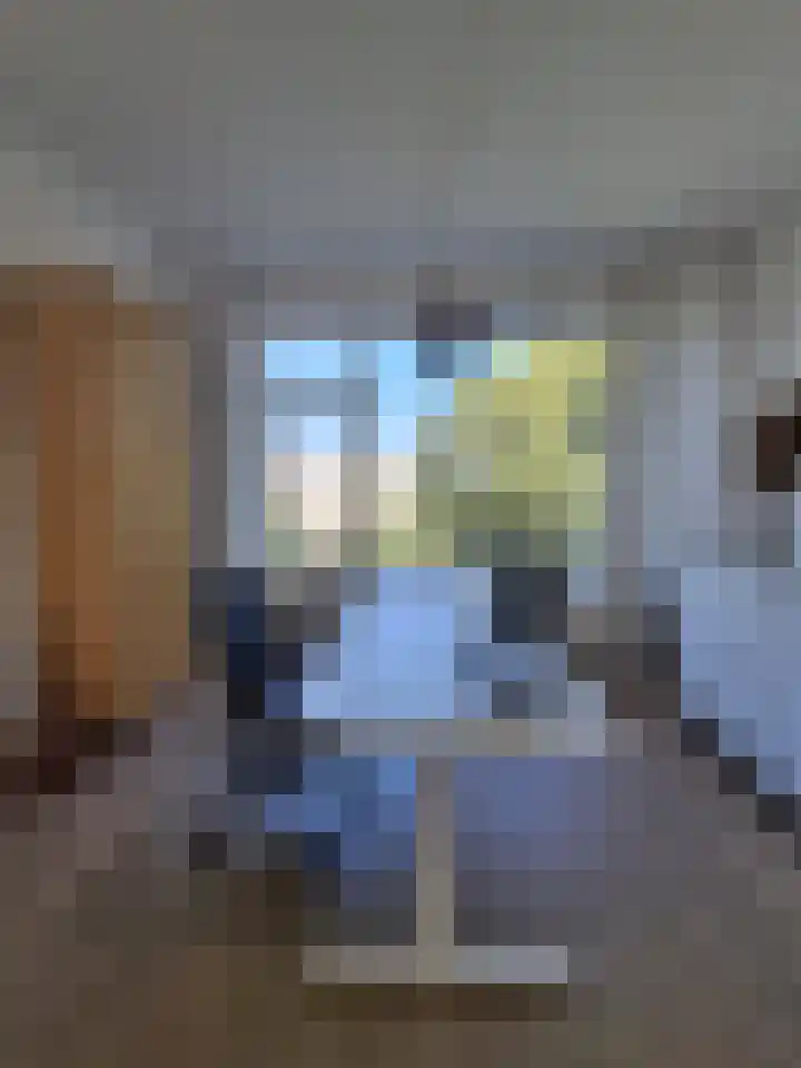 Jan den Haenstraat 24 Dordrecht thumbnail 4