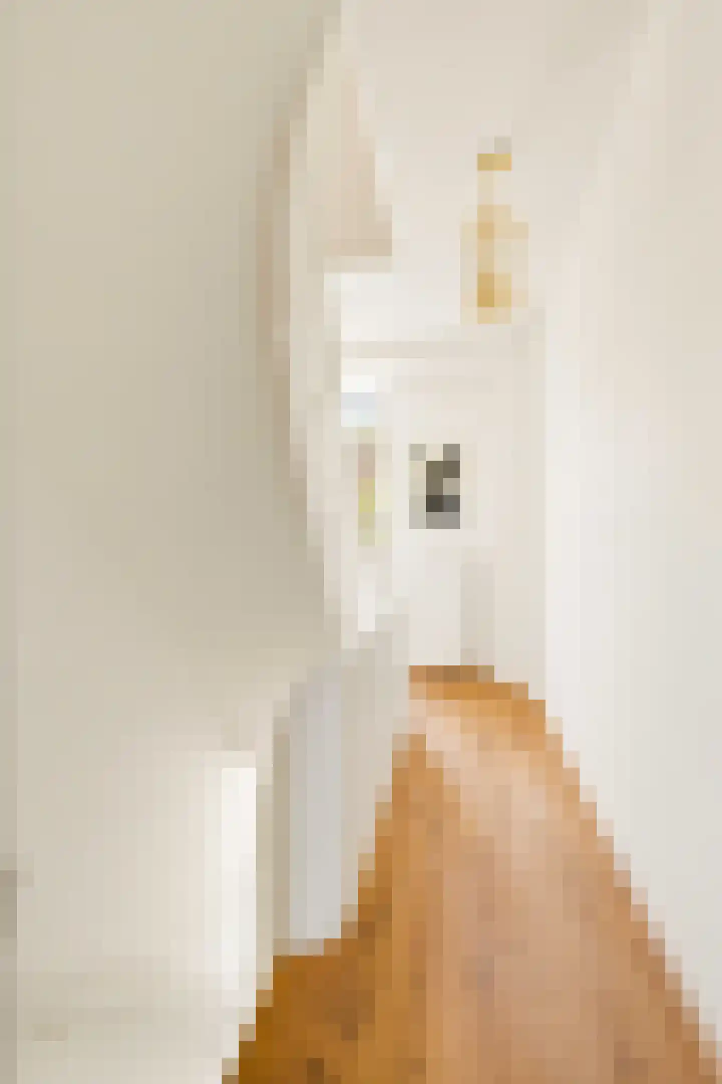 Jan den Haenstraat 27 2 Amsterdam thumbnail 25