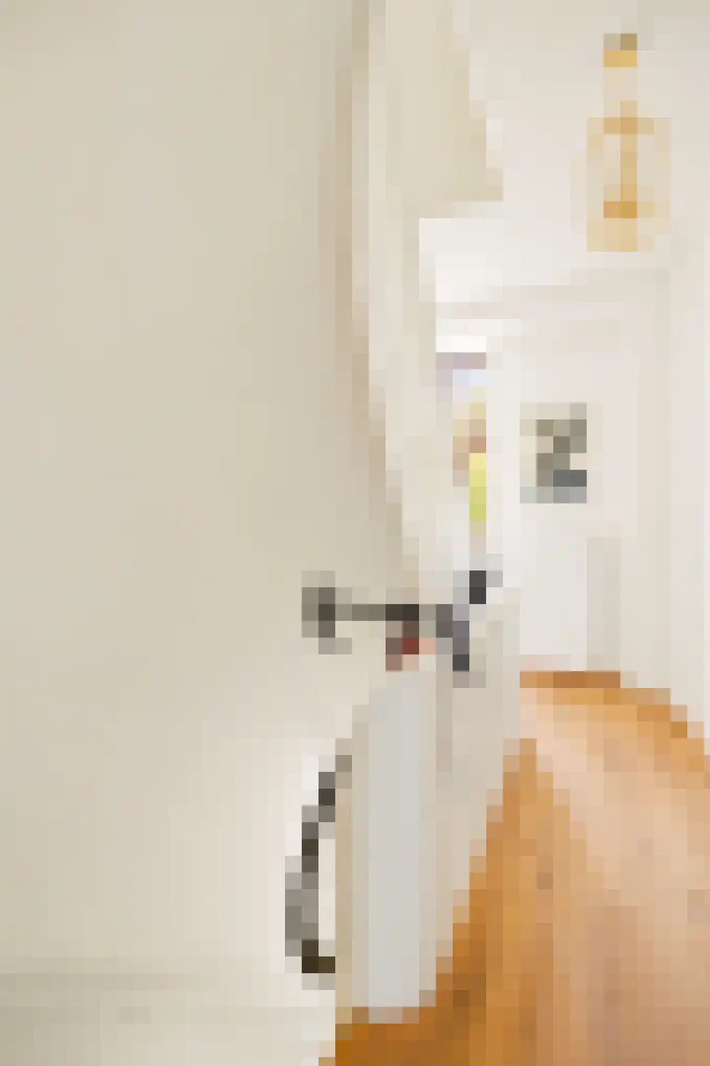 Jan den Haenstraat 27 2 Amsterdam thumbnail 26