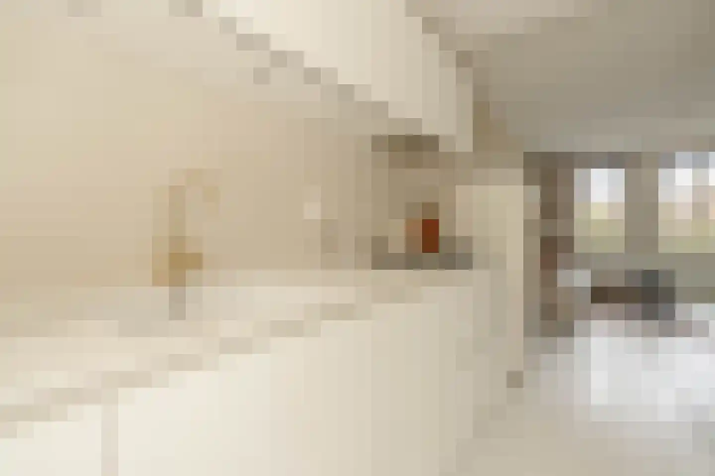 Jan den Haenstraat 38 D Amsterdam thumbnail 10