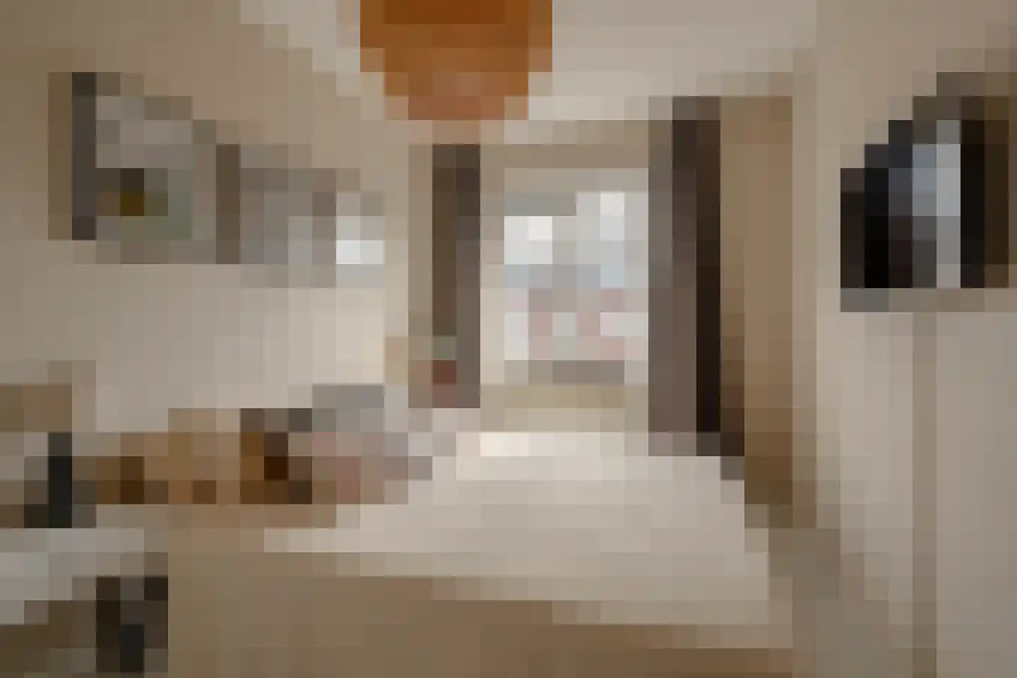 Jan den Haenstraat 38 D Amsterdam thumbnail 24
