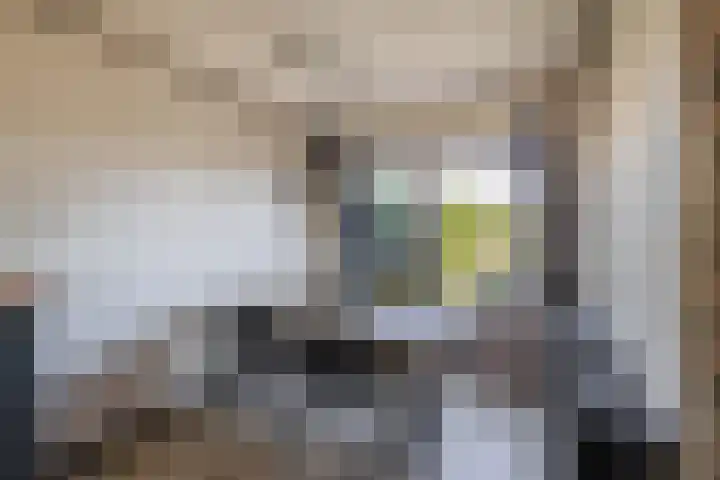 Jan Deugtstraat 5 Herkingen thumbnail 20