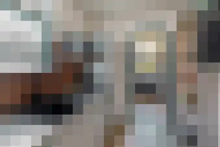 Jan Deugtstraat 5 Herkingen thumbnail 26