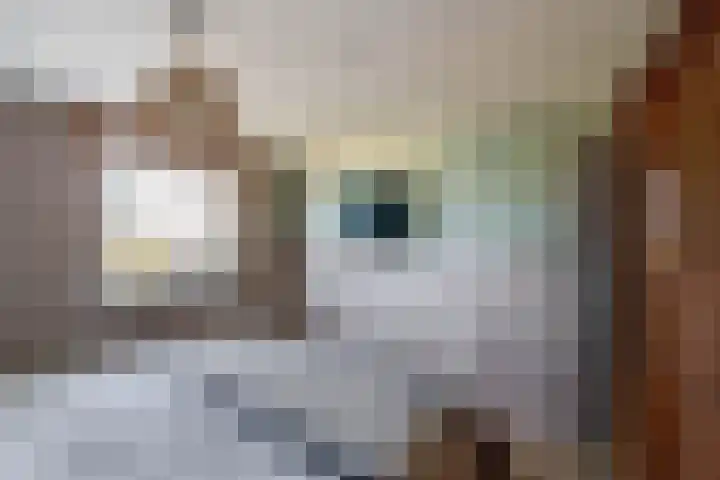 Jan Deugtstraat 5 Herkingen thumbnail 33