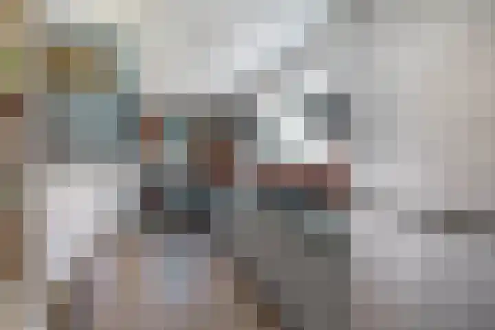 Jan Deugtstraat 5 Herkingen thumbnail 4